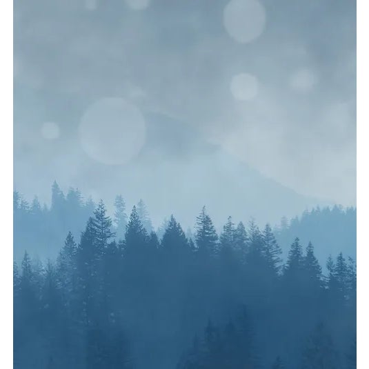 Framed in Natural Wood, Print on Rag Paper: 'Bleuth' by Karen Thom 48 x 32 inches (overall framed dimension). Archival...