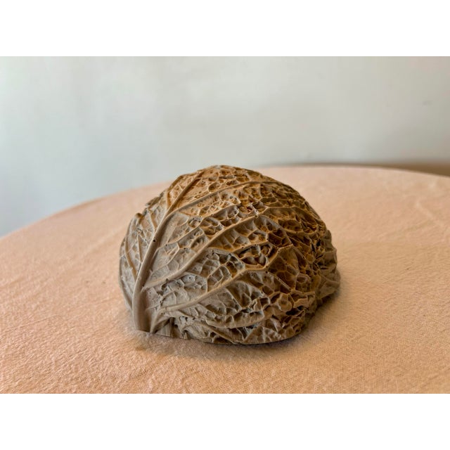 The cutest little pot for a plant next to your kitchen sink or at your desk. Made from cabbage cast. So unique with...