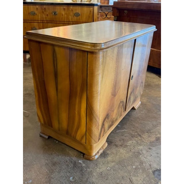 19th Century Italian Walnut Cabinet For Sale - Image 4 of 6