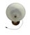 Art Deco Table Lamp in Glass and Walnut, 1930 For Sale - Image 3 of 7