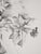 Mily Possoz, The Bouquet, Original Signed Engraving For Sale - Image 10 of 11
