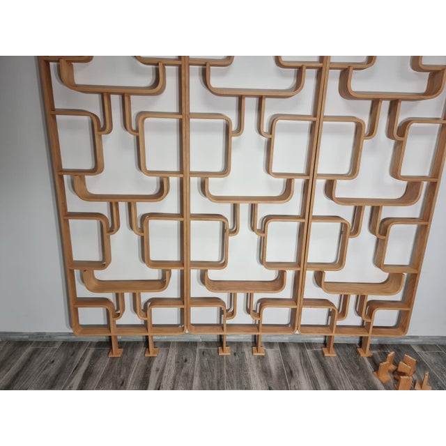 Wood Room Dividers by Ludvik Volak for Drevopodnik Holesov, 1950s, Set of 3 For Sale - Image 7 of 11
