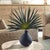 Striking In Its Simplicity, This Fan Palm Arrangement Brings Sculptural Drama And Natural Texture To Any Space. The Bold,...