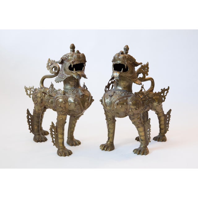 Monumental Solid Brass Foo Dogs Chairish