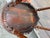 Antique Victorian Renaissance Revival 2 Tier Walnut Side End Table For Sale In Washington DC - Image 6 of 12
