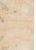 Contemporary Botanic Beige Silk Rug by Doris Leslie Blau For Sale - Image 4 of 6