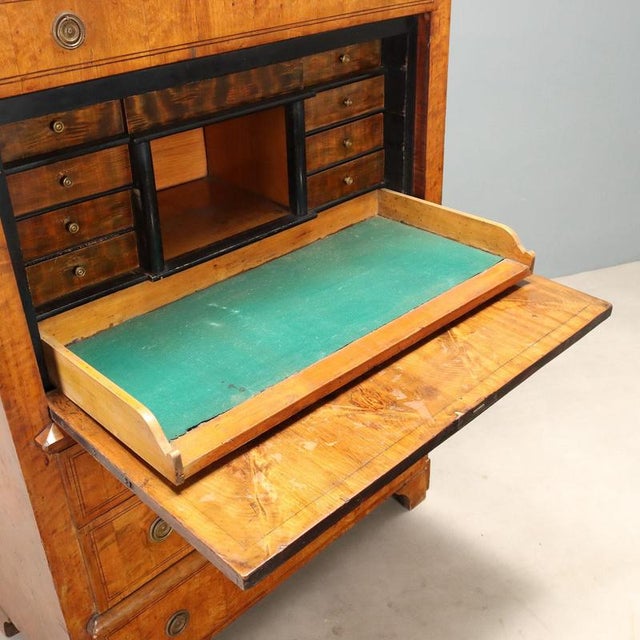 Biedermeier Secretary in Lemonwood and Ebony For Sale - Image 6 of 16