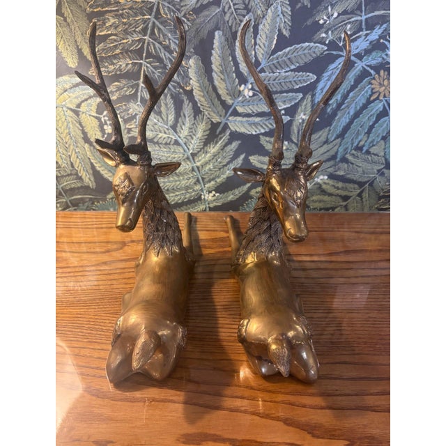 Two-Tone Brass Reclining Deers, 1960s, Set of 2 For Sale - Image 4 of 12