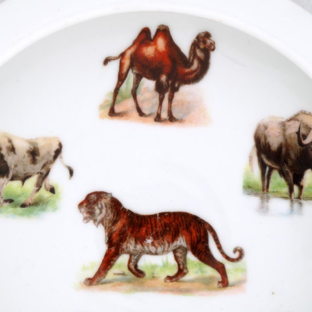 Illustration Antique German Illustrated Child's Dish Animal Full Color Early 1900s For Sale - Image 3 of 10