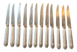 Silver-Plated Metal Knife Set from Ercuis, 1950s, Set of 12