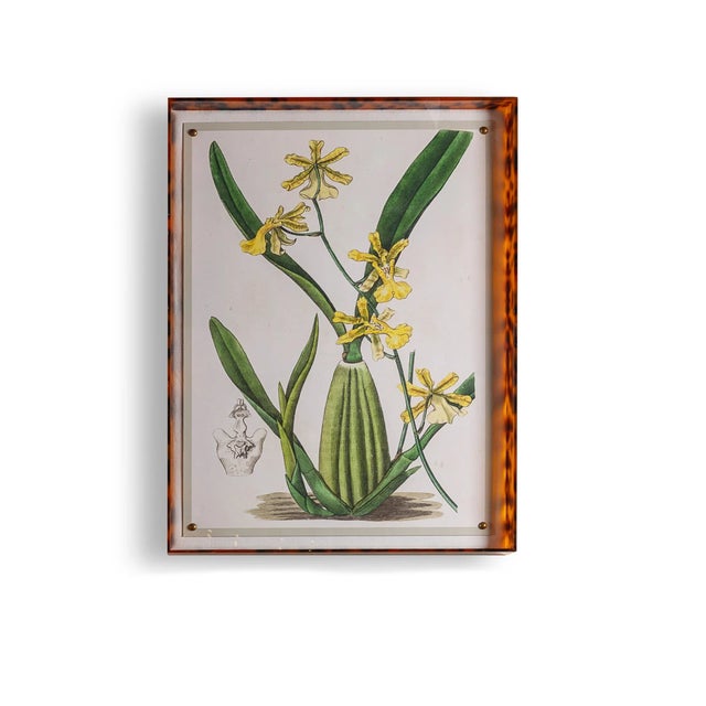 Light Green Spring Orchid IV Giclee in Tortoise Frame For Sale - Image 8 of 8