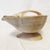 Natural Conch Shell Planter/Basket For Sale - Image 10 of 10