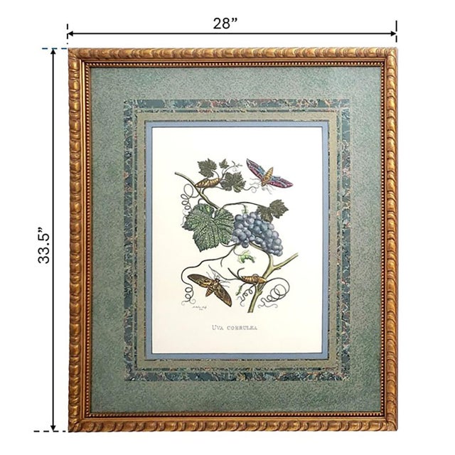 Illustration Large Italian Reproduction Print Signed For Sale - Image 3 of 12