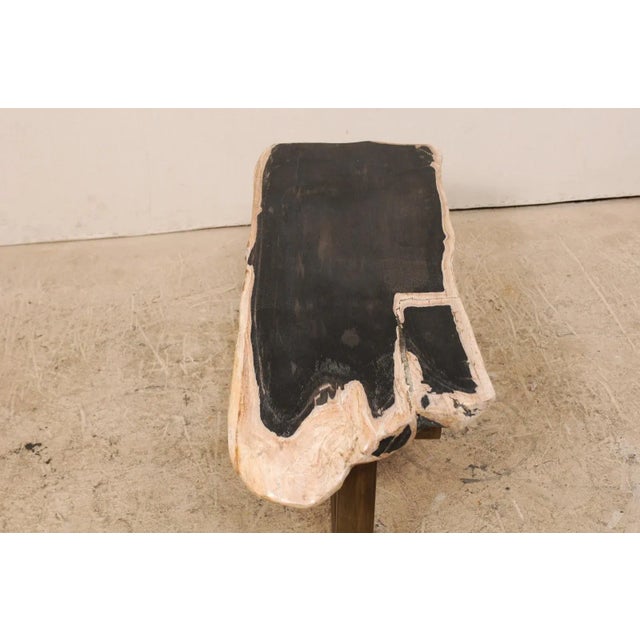 Organic Modern Petrified Wood Coffee Table or Bench For Sale - Image 9 of 12