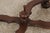 Hickory Chair Continental Mahogany Console Library Table For Sale - Image 9 of 16