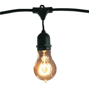 48' Decorative Outdoor String Lights with Amber Incandescent Loop Filament 25 Watt Bulbs in Black