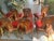 Set of Eight Restaurant Dining Chairs With Branded Keystone “P”, C. 1940, Berks County Provenance For Sale - Image 9 of 18