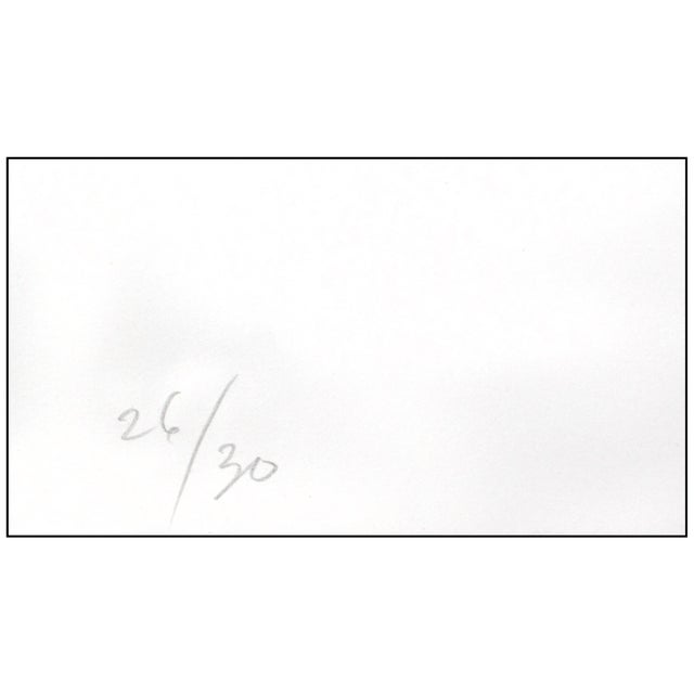 Late 20th Century Untitled (sf.212; l.204) Black Lithograph Sam Francis For Sale In Minneapolis - Image 6 of 7