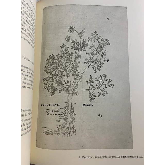 Red 1980 Flowers in Books and Drawings Book For Sale - Image 8 of 13