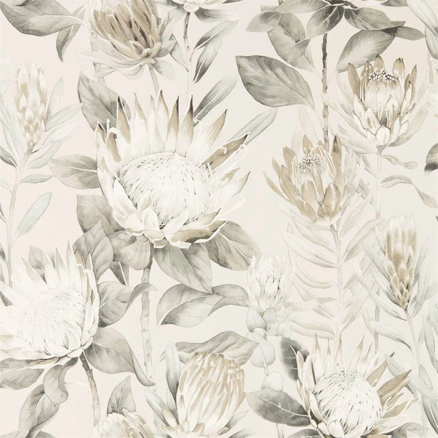 Sanderson King Protea Wallpaper in Linen/Mica For Sale