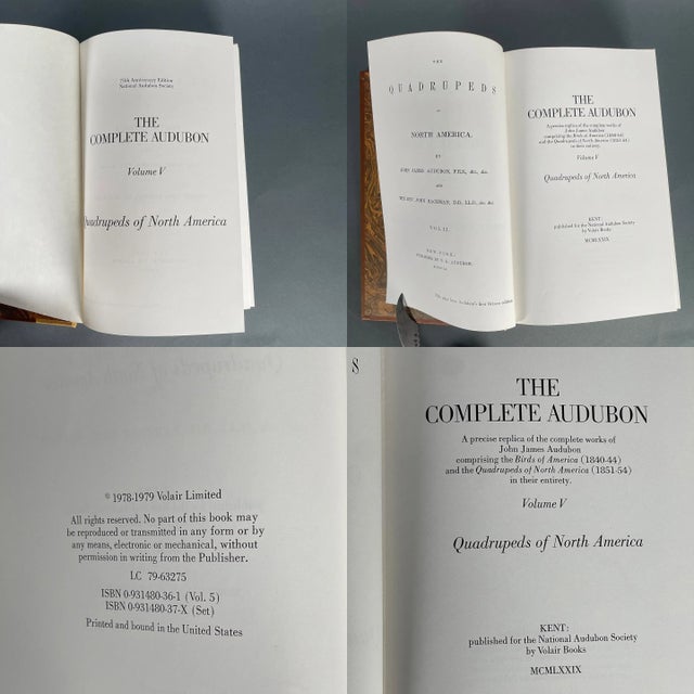 Vintage '79 Complete Audubon Vol. 5 National Society 75th Anniversary Ed. W/ Box For Sale In New York - Image 6 of 12
