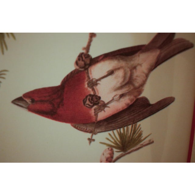 Pair of Original Mid-Century Avian Art Lithographic Prints Styled After Audubon, Framed For Sale - Image 12 of 17