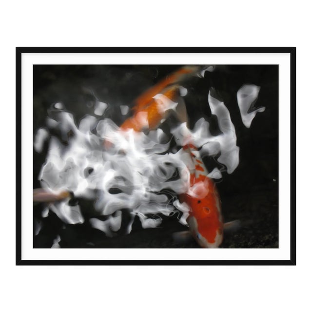 "Koi I" 18"" X 24" Contemporary Color Photograph With Black Frame by Dorothy Solomon For Sale