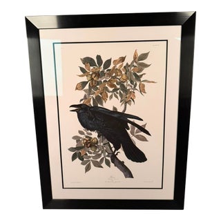 Late 20th Century Framed John James Audubon “Raven (Corvus Corax)” Hand-Colored Engraving Print No. 21, Museum Glass For Sale