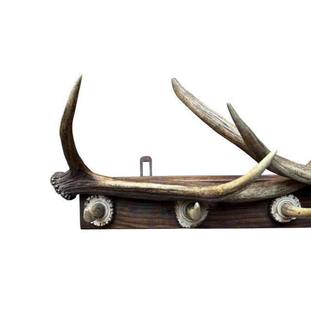 1940s 1940s German Antler Hanging Rack Hats Clothes For Sale - Image 5 of 6