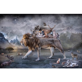 The Golden Age by Marcin Owczarek | Photography - Dye Sublimation on Aluminum Lion carrying various animals. For Sale