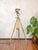 Wood Electric Patt 123 Theater Spotlight Floor Lamp on Wooden Berlebach Tripod from Strand, 1950s For Sale - Image 7 of 18