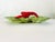 1950's Brad Keeler California Pottery Large Sectional Lobster Dish/Tray For Sale - Image 4 of 7