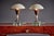 Mid-Century Modern Italian Table Lamps, Italy, 1950s, Set of 2 For Sale - Image 3 of 12