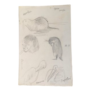 Vintage French Original Pencil on Paper Animal Sketches - For Sale
