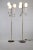 Stilnovo Floor Lamp from Stilnovo, 1950s For Sale - Image 4 of 8