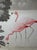 This is a hand-painted scenic wallpaper sample featuring elegant pink flamingos in a tranquil waterside landscape. The...