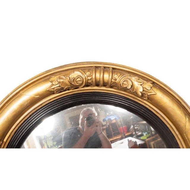 Traditional Regency Giltwood Convex Mirror For Sale - Image 3 of 8
