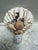 Children's Natural Beach House Seashell Adorned Nightlight For Sale - Image 3 of 11