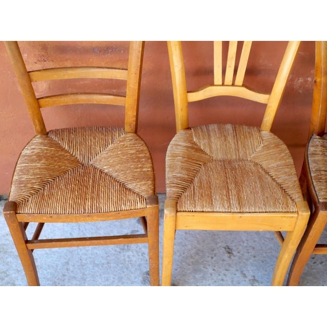 Wood Vintage Mismatched Straw Chairs, 1950s, Set of 5 For Sale - Image 7 of 17