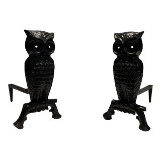 Cast Iron and Wrought Iron Andirons Showing an Owl - A Pair For Sale