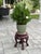 Mid 20th Century Antique Chinese Carved Rosewood Plant Stand For Sale - Image 5 of 6