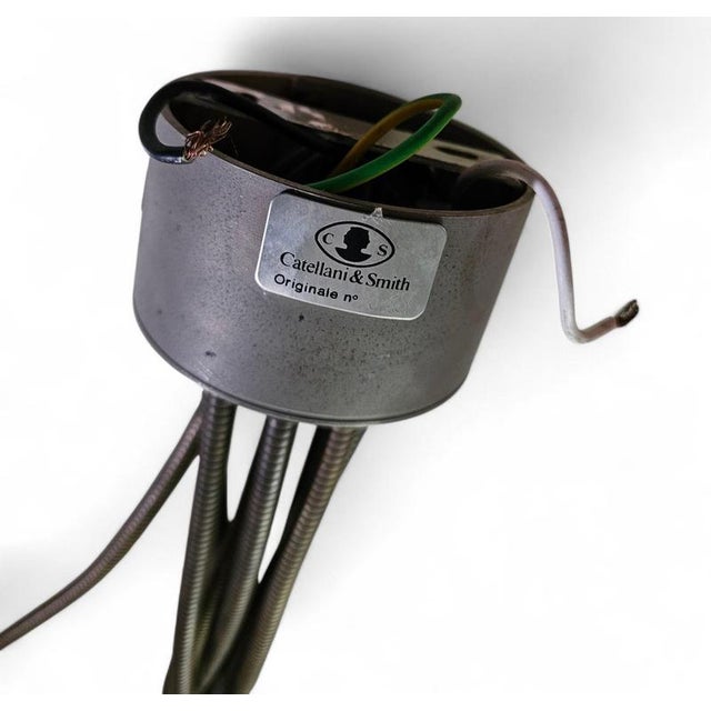 Early Flexible Turciu 9 Hanging Lamp by Enzo Catellani for Catellani & Smith For Sale - Image 12 of 13