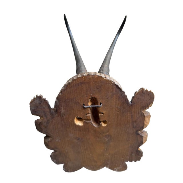 1900 - 1909 Chamois Trophy 223 Black Forest Horns Mount For Sale - Image 5 of 5