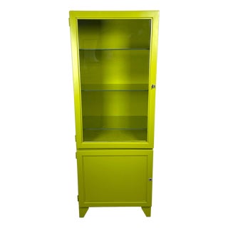Vintage Green Doctor's Display Case, 1989 For Sale