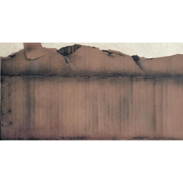 Jean-Paul Donadini, Le cygne dans le carton, Lithograph For Sale - Image 4 of 7