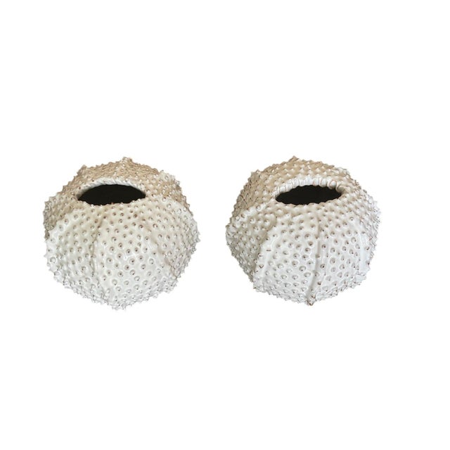 Pair of Vintage Italian White Ceramic Sea Urchin Vases For Sale In West Palm - Image 6 of 12