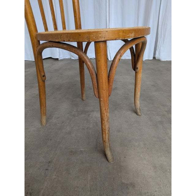 Vintage Boho Cane Seat Dining Chair, Yugoslavia, 1970s For Sale - Image 13 of 18