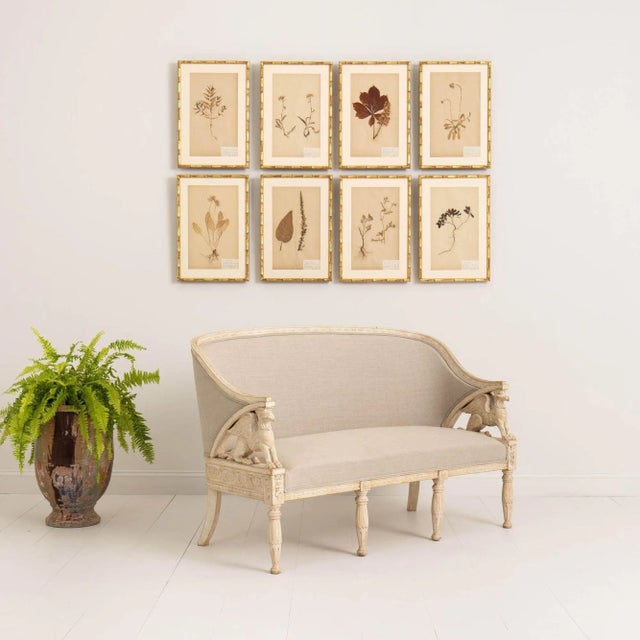 A rare Gustavian style barrel back sofa with beautiful wood carved griffins, hand-scraped to the original paint and newly...