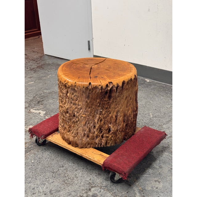 Design Plus Gallery presents a Round Live Edge Tree Side Table. Cut from a solid section of tree trunk, this piece...