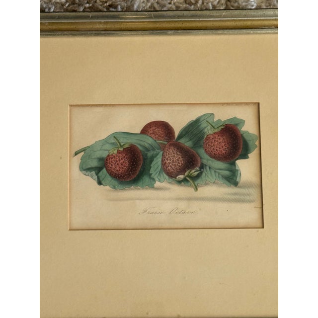 Late 19th Century 1860 French Botanical Lithograph ‘Fraise Octave’ – Hand Colored Strawberry Plate For Sale - Image 5 of 9